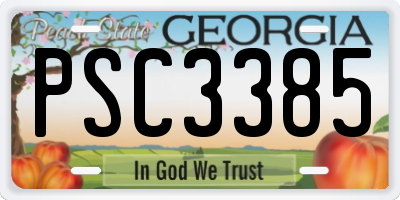 GA license plate PSC3385