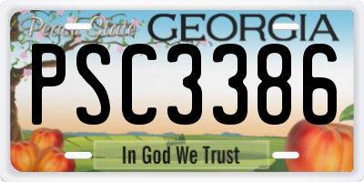 GA license plate PSC3386
