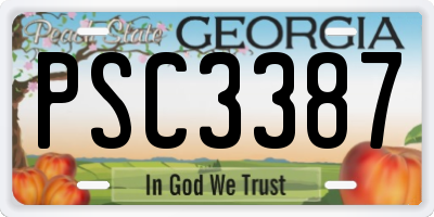 GA license plate PSC3387