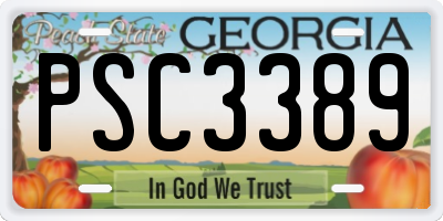 GA license plate PSC3389
