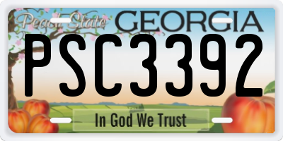 GA license plate PSC3392