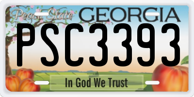 GA license plate PSC3393