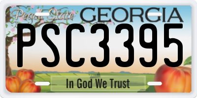 GA license plate PSC3395