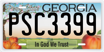 GA license plate PSC3399