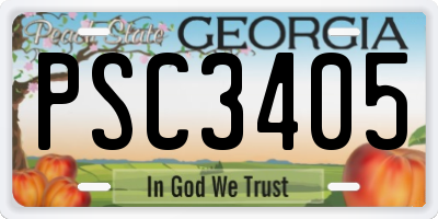 GA license plate PSC3405