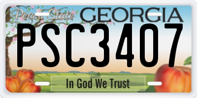 GA license plate PSC3407