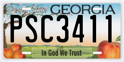 GA license plate PSC3411