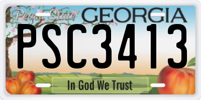GA license plate PSC3413