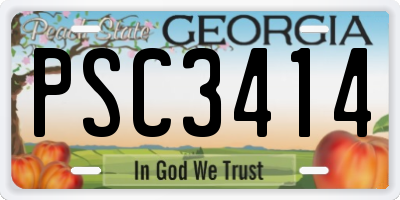 GA license plate PSC3414