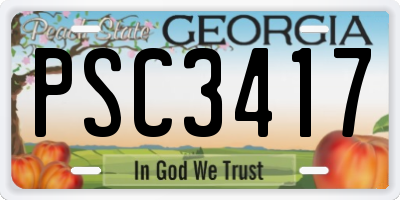 GA license plate PSC3417