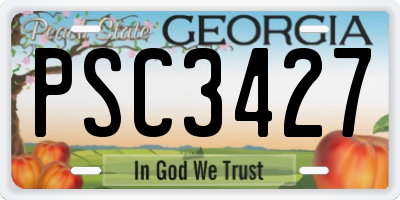 GA license plate PSC3427