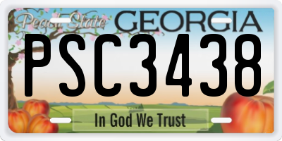 GA license plate PSC3438