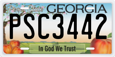 GA license plate PSC3442