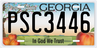 GA license plate PSC3446