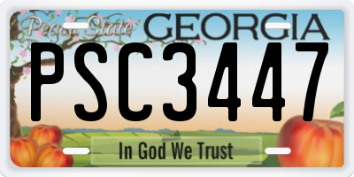 GA license plate PSC3447