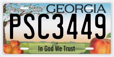 GA license plate PSC3449