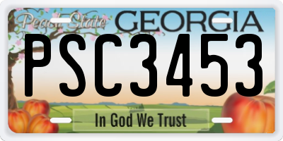 GA license plate PSC3453
