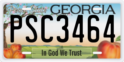 GA license plate PSC3464