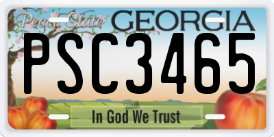 GA license plate PSC3465