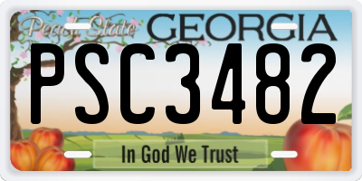 GA license plate PSC3482
