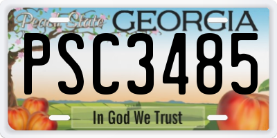 GA license plate PSC3485