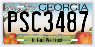 GA license plate PSC3487
