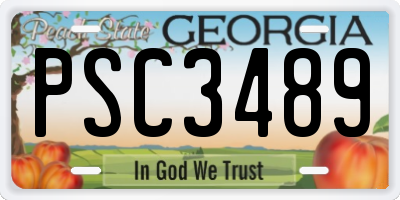GA license plate PSC3489
