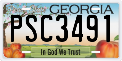 GA license plate PSC3491