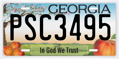 GA license plate PSC3495
