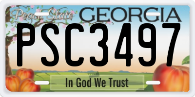 GA license plate PSC3497