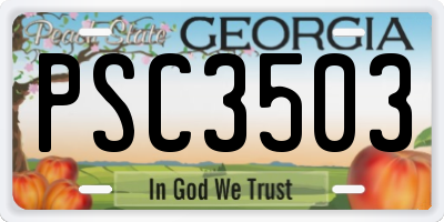 GA license plate PSC3503