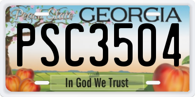 GA license plate PSC3504