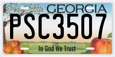 GA license plate PSC3507