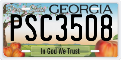 GA license plate PSC3508