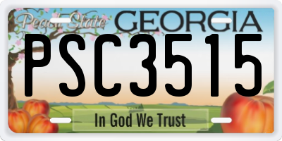 GA license plate PSC3515