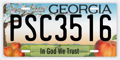 GA license plate PSC3516
