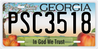 GA license plate PSC3518