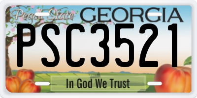 GA license plate PSC3521