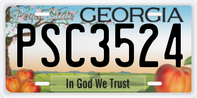 GA license plate PSC3524