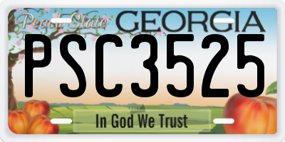 GA license plate PSC3525