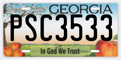 GA license plate PSC3533