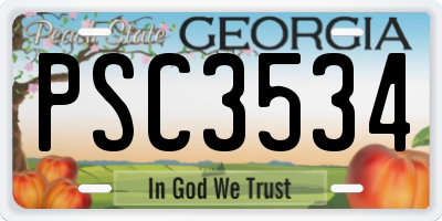 GA license plate PSC3534