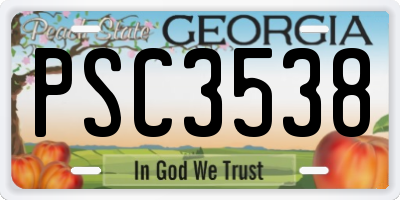 GA license plate PSC3538