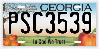 GA license plate PSC3539
