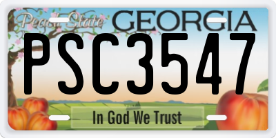 GA license plate PSC3547