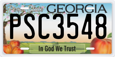 GA license plate PSC3548