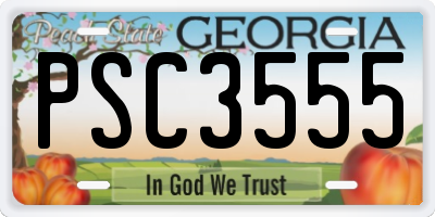 GA license plate PSC3555