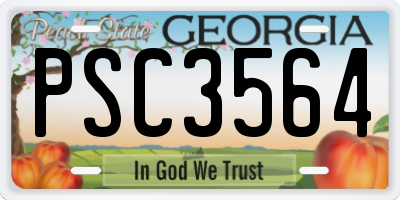 GA license plate PSC3564