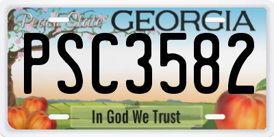 GA license plate PSC3582