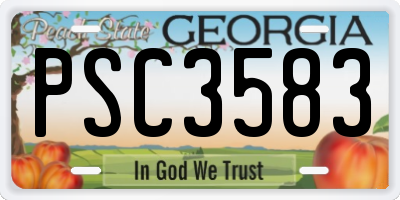 GA license plate PSC3583